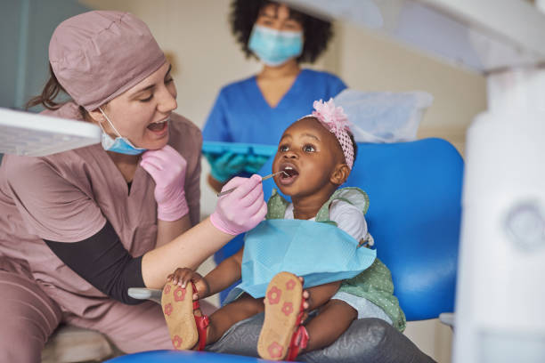 Trusted Calumet City, IL  Holistic Dental Services Experts